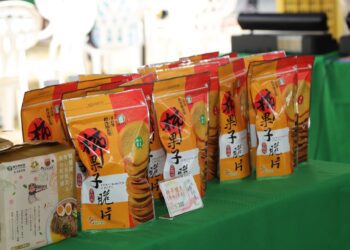 嘉義番路鄉豐收柿子季　