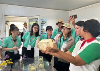 12位臺灣農業青年大使訪問泰國農業單位 強調國際供應鏈導向 深化互惠共贏的夥伴關係