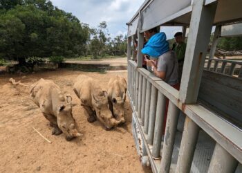 熱情舞者輪番炫技大秀南島風情 六福村歡慶原住民日!! 限時好康優惠暢玩只要$499