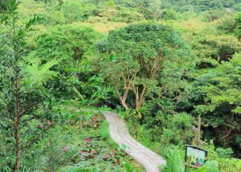 貢寮龍崗社區生態復育有成　秋遊賞景好去處