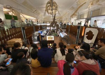 「光，接龍」就玩不完了！ 臺博館2024春節活動熱鬧登場