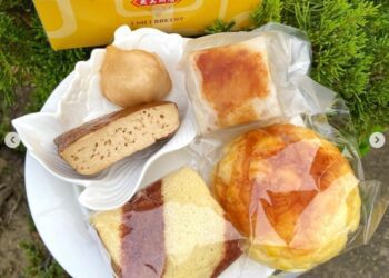 中市社區文化季11/11歡樂登場 「社造同學會」展社區營造豐碩成果