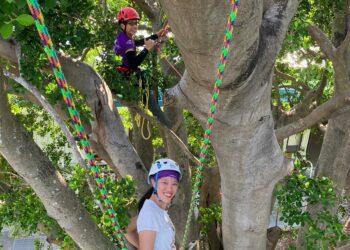 全台串聯大樹聚 13縣市逾300人響應