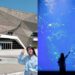 台中親子景點｜開箱台中新地標 台中海洋館門票、交通、必看展區懶人包