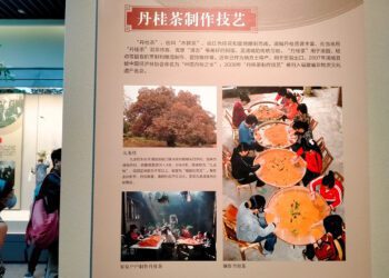 朱子琴聲第二日 走訪先賢體驗自然