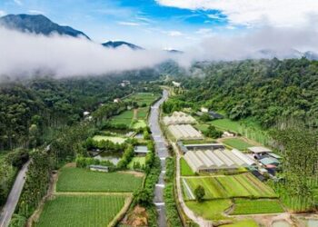 台灣最大規模「里山倡議」示範場域-森形埔里農莊 首座百公頃級沉浸式農遊圈 預計提供在地逾千工作機會