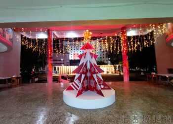 雄女珍珠板製聖誕樹要價7萬 網譏:盤子樹? 校方這樣說