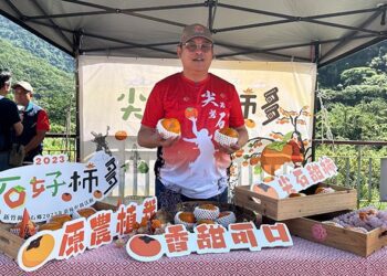 柿季泡好湯　尖石好柿　錯過再等一年