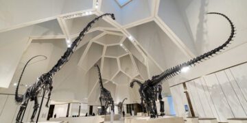 阿布札比酋長國王 Sheikh Khaled bin Mohamed bin Zayed Al Nahyan 殿下於薩迪亞特文化區為阿布札比自然歷史博物館揭幕