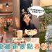 南投景點｜南投最新打卡景點 春秋山林美到像仙境 足浴＋珍奶＋山景一次滿足