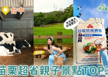 苗栗親子一日遊｜飛牛牧場＋台鹽園區＋白沙屯小吃 一人不到500元