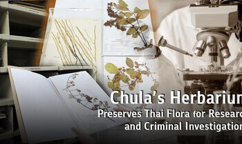 朱拉隆功大學植物標本館：保護泰國植物多樣性，助力科研與刑偵