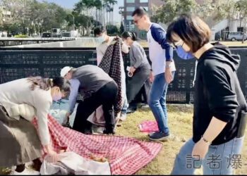 有魄力！「台南好Young」卡位風波　南市府出手清理了