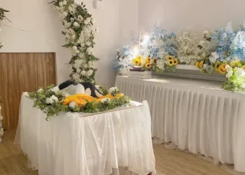 寵物禮儀「水化」善終　毛孩溫和舒適的道別