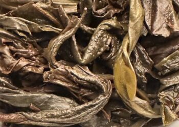 朱唇粉面遠山芙蓉｜觀音岩肉桂