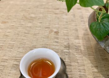 問色｜武夷岩茶干茶、葉底條索