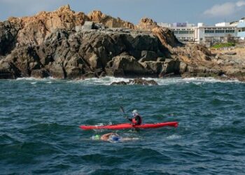 環島接力泳賽載譽歸來 國際泳手雲集維港 籌款助港人學游泳