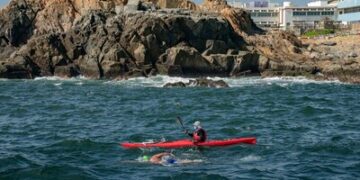 環島接力泳賽載譽歸來 國際泳手雲集維港 籌款助港人學游泳
