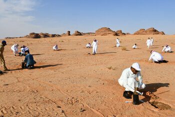埃爾奧拉皇家委員會針對將與 IUCN 合作進行的工作發表報告，強調以全面再生作為自然保育的框架
