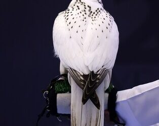 超過 100 項精彩特色等著 ADIHEX 訪客