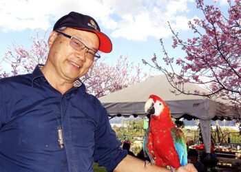 彷彿出國置身京都 攝影愛好者 網紅前往朝聖參觀