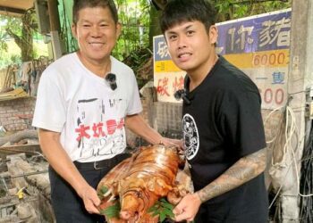 招牌景點紫藤花隧道 遊客拍照打卡熱門點