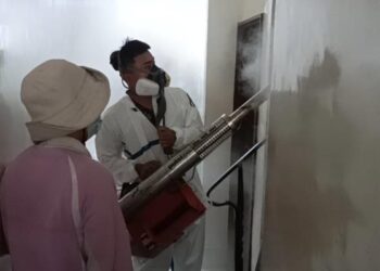 寒流來襲病媒躲入家戶，市府提醒民眾做好自身防蚊措施