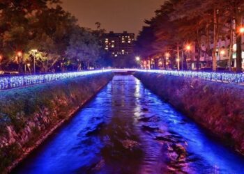 喜迎耶誕節 中市南區綠川興大段浪漫點燈
