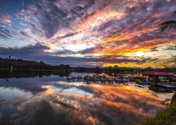 全台唯一！新化武德殿三大建築特色，帶你穿越歷史的文化旅程