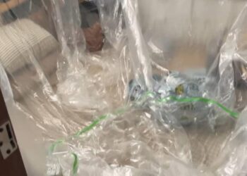 民眾化學防治時過度包覆白做工還加上染疫風險高!