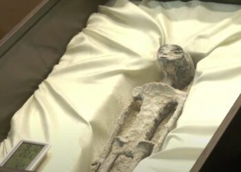 外星人是真的！墨西哥首度公開承認外星人並公布屍體、Ｘ光照 