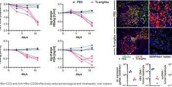 成功突破乙肝功能性治愈的根本性障礙，星漢德生物全球首創雙特異性抗體榮獲 EASL最佳報告獎