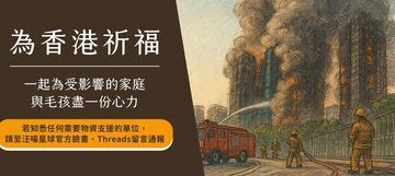 守護香港毛孩!汪喵星球啟動宏福苑受災寵物援助行動