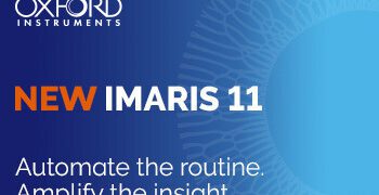 Imaris 11:以清晰、可批次化的工作流程革新影像分析