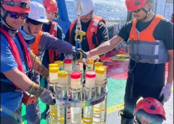 漾新聞|中山大學到帛琉海域採樣藍碳碳匯調查發展藍碳經濟