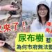 漾新聞|哨船頭街路樹又倒成一整排 陳美雅質疑「尿布樹」惹禍為何市府無法監督廠商改善?