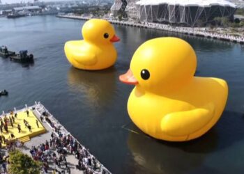 漾新聞|黃色小鴨現身高雄港「兩隻小鴨帶來雙倍幸福」開幕式千人搶看