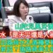 漾新聞|議員質疑「是天災還是人禍？」指中山四路排水孔道種草種樹？治水新招？道路綠美化嗎？
