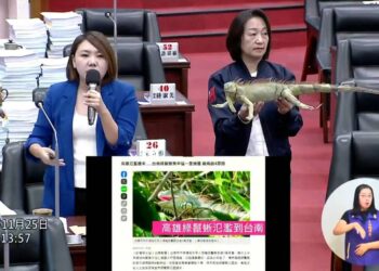 漾新聞|邱于軒總質詢要求發展「棒球經濟」 要求市府重視金潭國小棒球隊