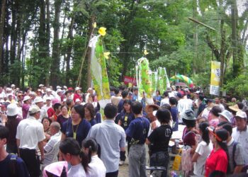 雙溪熱帶母樹林 / 黃山高 2014高雄小故事三級獎／漾新聞