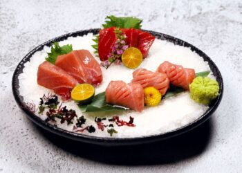 漾新聞|黑鮪魚控快衝京樂搶鮮味