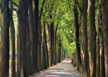 漾新聞|茂管處邀您FUN遊高屏清涼呷冰