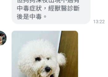 鍾易仲踢爆　高雄登革熱噴藥拉伕不給防護，家犬也傳中毒