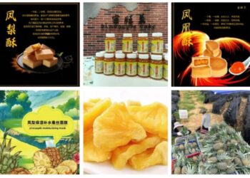 寶旺萊種果得花　好運旺財運發 漳浦臺創園臺青試驗田 週年成果