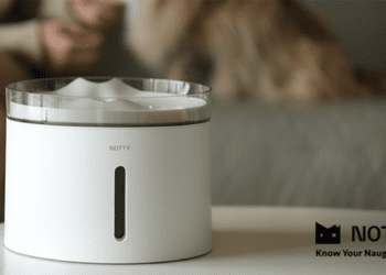 NOTTY諾提寵物飲水 毛孩健康新選擇