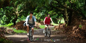 回應市場破紀錄奇蹟 GagaOOLala BL 電影《荔枝樹下熱烈島》喚醒「六感」沉浸式純愛盛宴