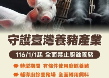 推動一年內廚餘養豬全面轉型　強化非洲豬瘟防疫韌性