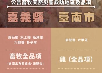 因應0728豪雨災情 農業部主動公告嘉義縣、台南市部分地區畜牧救助品項