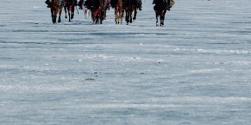 陳曉被點名「唯一人選」！《大生意人》是命中注定：不經磨難，永遠不知道自己有多強