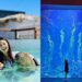 墾丁景點|陽光燦爛國境之南景點 Top 6 必去台版最美小奈良、鹿ㄦ島與水豚君夢幻同游